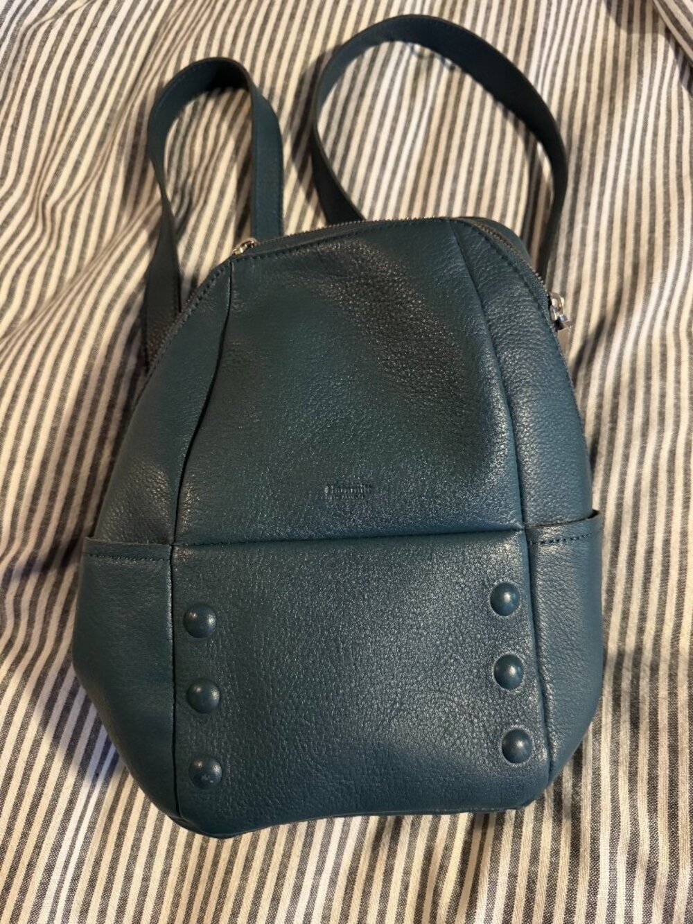 Hammitt Hunter Backpack in Teal